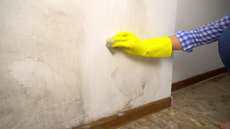 Best Real Estate Mold Inspection  in Silver Summit, UT