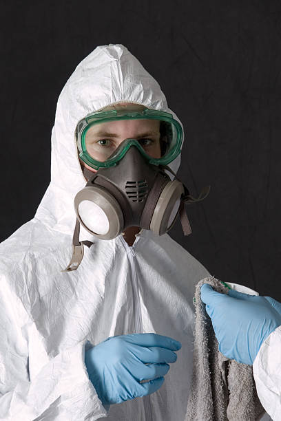 Best Mold Odor Removal Services  in Silver Summit, UT